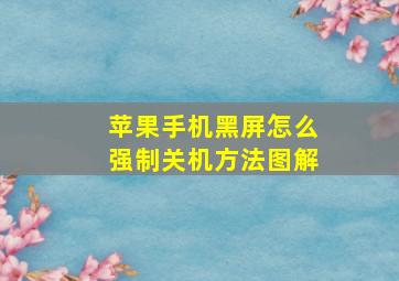 苹果手机黑屏怎么强制关机方法图解