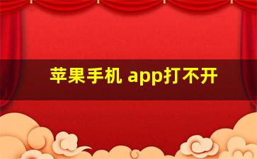 苹果手机 app打不开