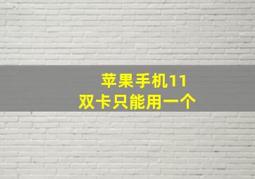 苹果手机11双卡只能用一个