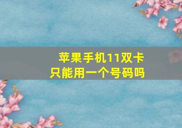 苹果手机11双卡只能用一个号码吗