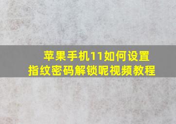 苹果手机11如何设置指纹密码解锁呢视频教程