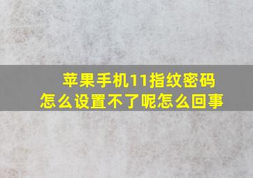 苹果手机11指纹密码怎么设置不了呢怎么回事