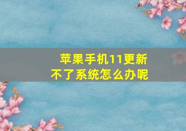 苹果手机11更新不了系统怎么办呢