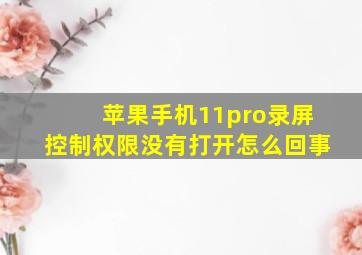 苹果手机11pro录屏控制权限没有打开怎么回事