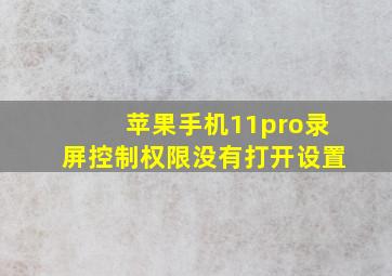 苹果手机11pro录屏控制权限没有打开设置