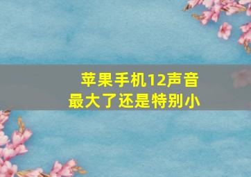 苹果手机12声音最大了还是特别小