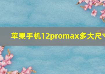 苹果手机12promax多大尺寸