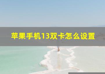 苹果手机13双卡怎么设置