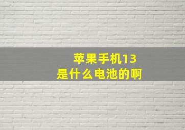 苹果手机13是什么电池的啊