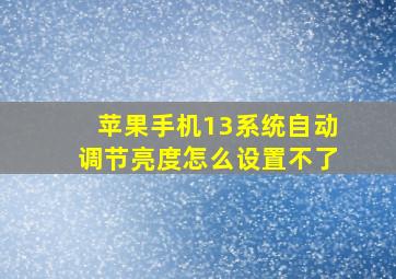 苹果手机13系统自动调节亮度怎么设置不了