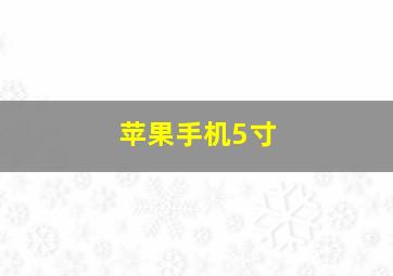 苹果手机5寸