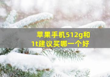 苹果手机512g和1t建议买哪一个好