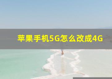 苹果手机5G怎么改成4G