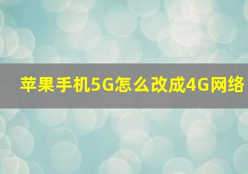 苹果手机5G怎么改成4G网络