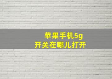 苹果手机5g开关在哪儿打开