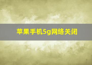 苹果手机5g网络关闭