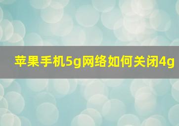 苹果手机5g网络如何关闭4g