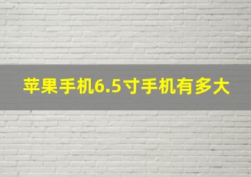 苹果手机6.5寸手机有多大