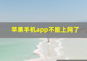 苹果手机app不能上网了