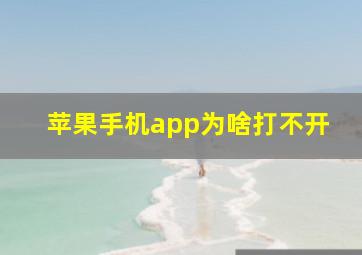 苹果手机app为啥打不开