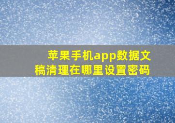 苹果手机app数据文稿清理在哪里设置密码