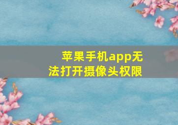 苹果手机app无法打开摄像头权限