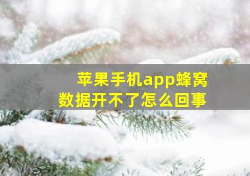 苹果手机app蜂窝数据开不了怎么回事