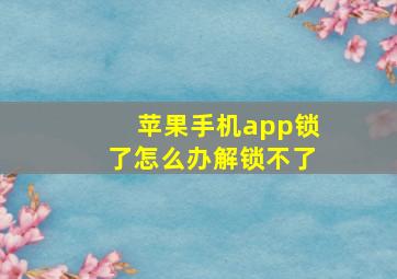 苹果手机app锁了怎么办解锁不了