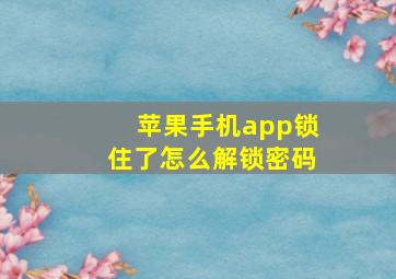 苹果手机app锁住了怎么解锁密码