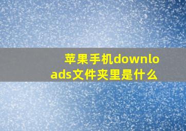 苹果手机downloads文件夹里是什么