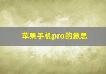 苹果手机pro的意思