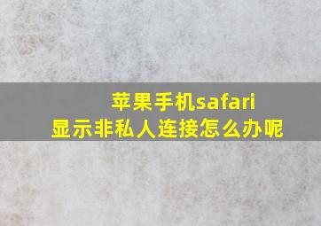 苹果手机safari显示非私人连接怎么办呢