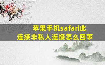 苹果手机safari此连接非私人连接怎么回事