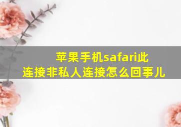 苹果手机safari此连接非私人连接怎么回事儿