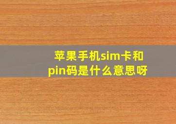 苹果手机sim卡和pin码是什么意思呀