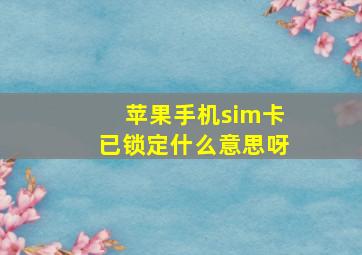 苹果手机sim卡已锁定什么意思呀