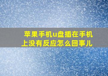 苹果手机u盘插在手机上没有反应怎么回事儿