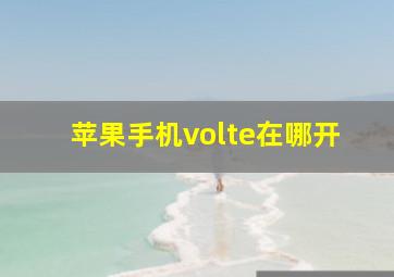 苹果手机volte在哪开