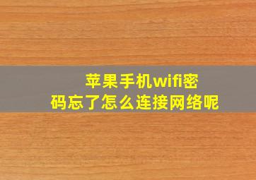 苹果手机wifi密码忘了怎么连接网络呢