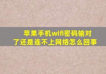 苹果手机wifi密码输对了还是连不上网络怎么回事