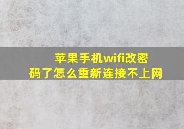 苹果手机wifi改密码了怎么重新连接不上网