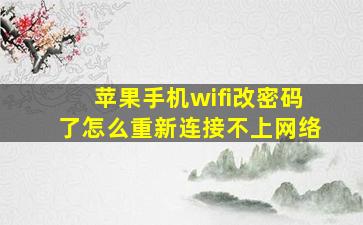 苹果手机wifi改密码了怎么重新连接不上网络