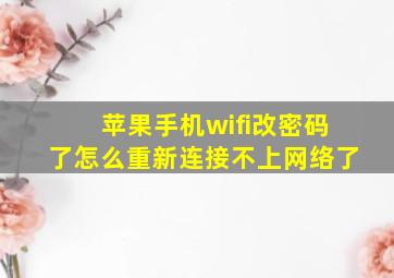 苹果手机wifi改密码了怎么重新连接不上网络了