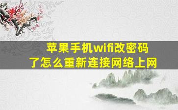 苹果手机wifi改密码了怎么重新连接网络上网