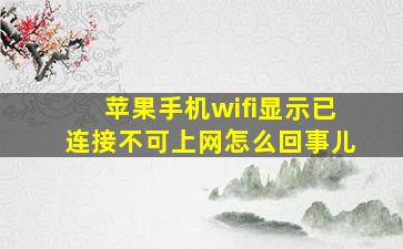 苹果手机wifi显示已连接不可上网怎么回事儿