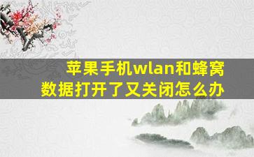 苹果手机wlan和蜂窝数据打开了又关闭怎么办