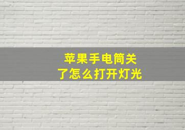 苹果手电筒关了怎么打开灯光