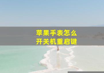 苹果手表怎么开关机重启键