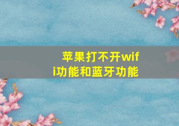 苹果打不开wifi功能和蓝牙功能