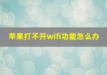 苹果打不开wifi功能怎么办